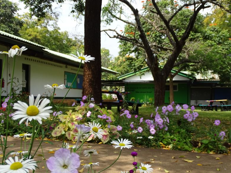 UWC East Africa, Campus Moshi